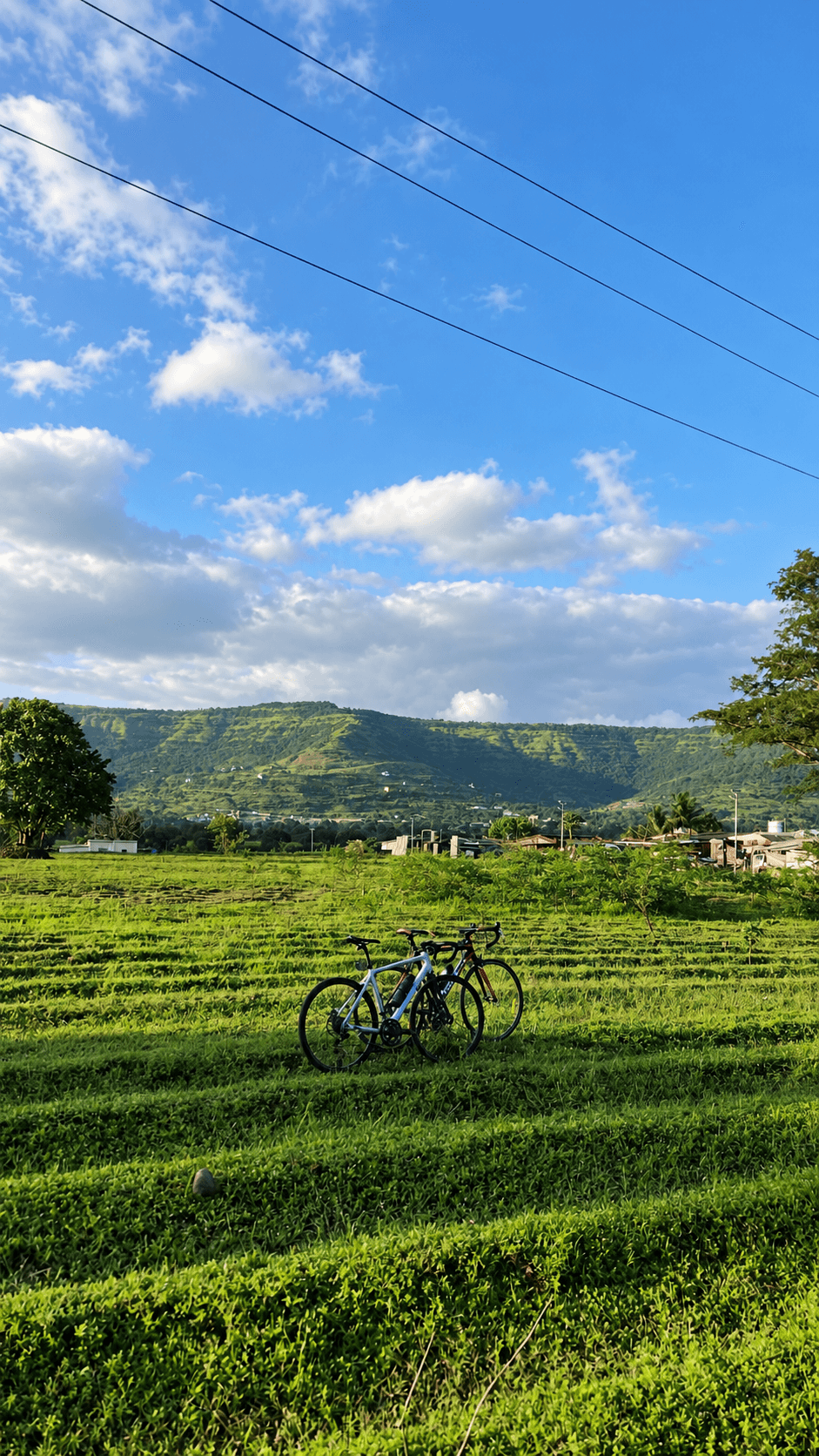 Two road bikes resting in a green field beneath the hills