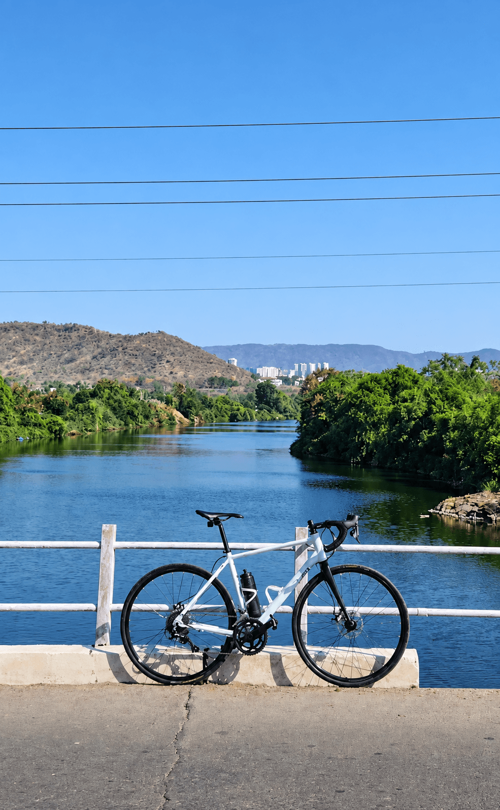 My road bike beside a lake on a sunny ride
